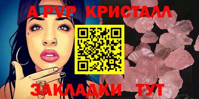шишки Новозыбков