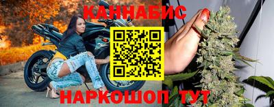 шишки Новозыбков